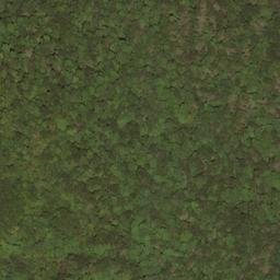 Satellite imagery of Buzzard Ridge, US