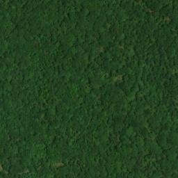 Satellite imagery of Thomas Point, US
