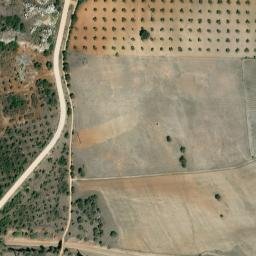 Satellite imagery of survey_point, PT