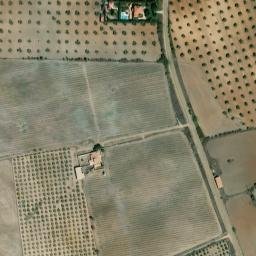 Satellite imagery of survey_point, PT