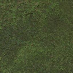 Satellite imagery of Buzzard Ridge, US