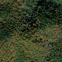 Satellite imagery of Shaws Ridge, US
