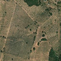 Satellite imagery of survey_point, ES