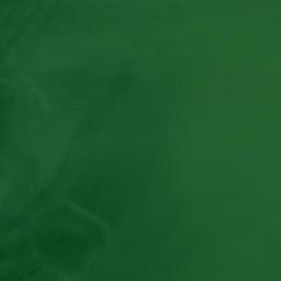 Satellite imagery of Metomkin Point, US
