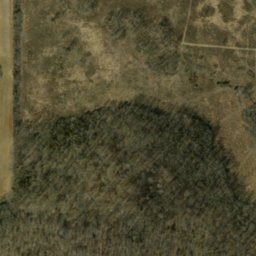 Satellite imagery of Orchard Ridge, US