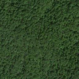 Satellite imagery of Tippets Mountain, US