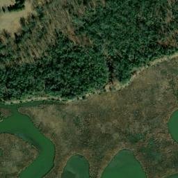 Satellite imagery of Stuart Point, US