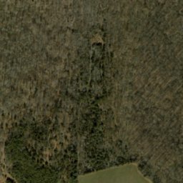 Satellite imagery of Orchard Ridge, US