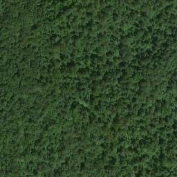 Satellite imagery of Tippets Mountain, US