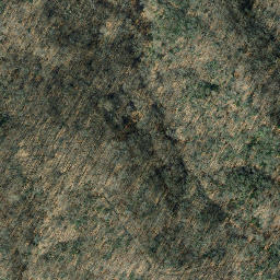 Satellite imagery of Marlborough Neck, US