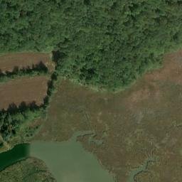 Satellite imagery of Chaptico Point, US