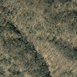 Satellite imagery of Marlborough Neck, US