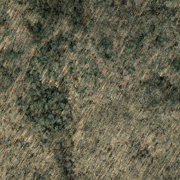 Satellite imagery of Crows Nest Point, US
