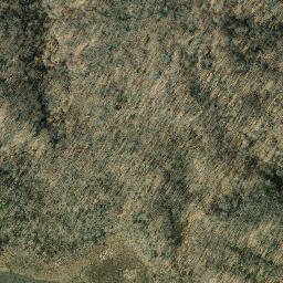 Satellite imagery of Stone Point, US