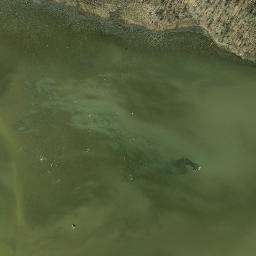 Satellite imagery of Stone Point, US
