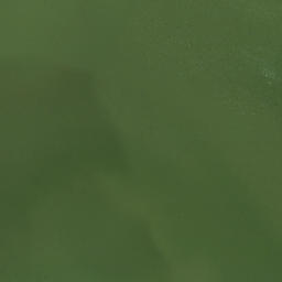 Satellite imagery of Old Landing Point, US