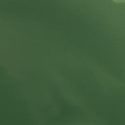 Satellite imagery of Bull Bluff, US