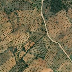 Satellite imagery of survey_point, PT