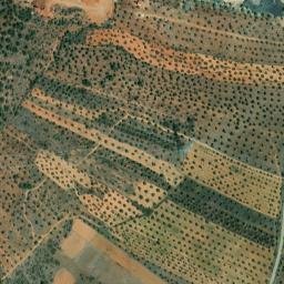 Satellite imagery of survey_point, PT