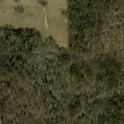 Satellite imagery of Opossum Trial Ridge, US