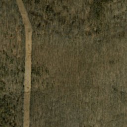 Satellite imagery of Opossum Trial Ridge, US