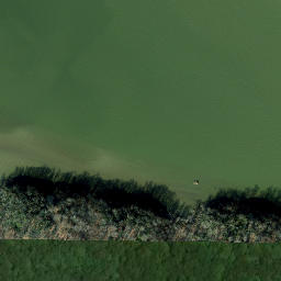 Satellite imagery of Bull Bluff, US