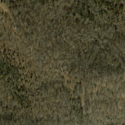Satellite imagery of Opossum Trial Ridge, US