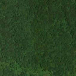 Satellite imagery of Bull Bluff, US