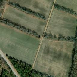 Satellite imagery of Cobb Neck, US