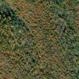 Satellite imagery of Lick Points, US