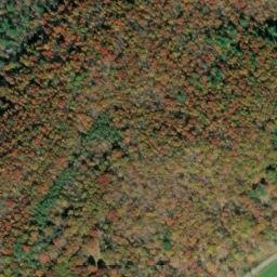 Satellite imagery of Cedar Ridge, US