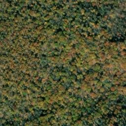 Satellite imagery of Back Creek Mountain, US