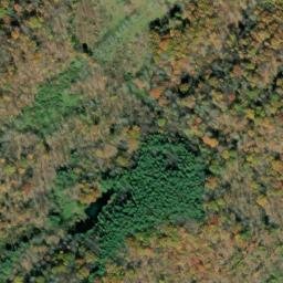 Satellite imagery of Dixon Hills, US