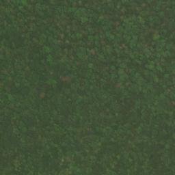 Satellite imagery of Perry Ridge, US