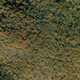 Satellite imagery of Back Creek Mountain, US