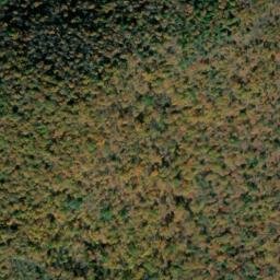 Satellite imagery of Mad Lick Ridge, US