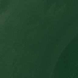 Satellite imagery of Guest Point, US