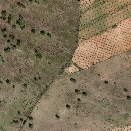Satellite imagery of survey_point, ES