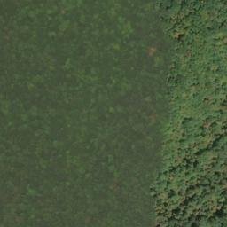 Satellite imagery of Perry Ridge, US