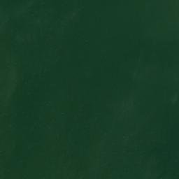 Satellite imagery of Cedar Point, US