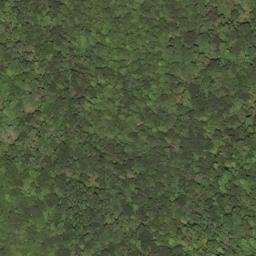 Satellite imagery of Wolfpen Ridge, US