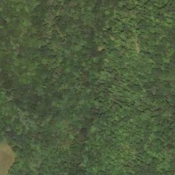 Satellite imagery of Wolfpen Ridge, US