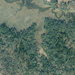 Satellite imagery of Long Point, US