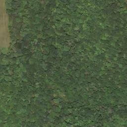 Satellite imagery of Wolfpen Ridge, US