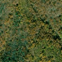 Satellite imagery of Wyatt Mountain, US