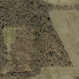 Satellite imagery of McGregors Hill, US