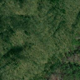Satellite imagery of Hickory Ridge, US