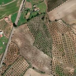 Satellite imagery of survey_point, PT