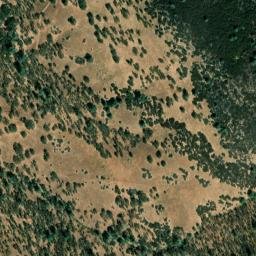 Satellite imagery of Cypress Point, US