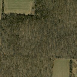 Satellite imagery of Pennington Chapel Ridge, US